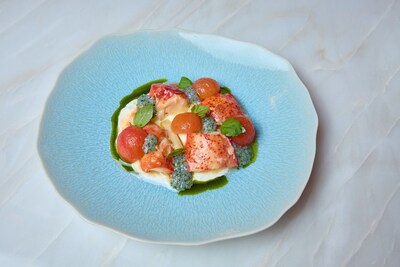 Lobster Burrata