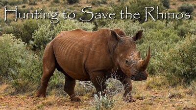 Hunting to Save the Rhinos
