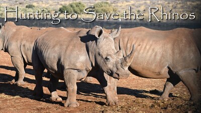 Hunting to Save the Rhinos