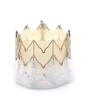 MiRus Siegel™ TAVR: First EFS Cases