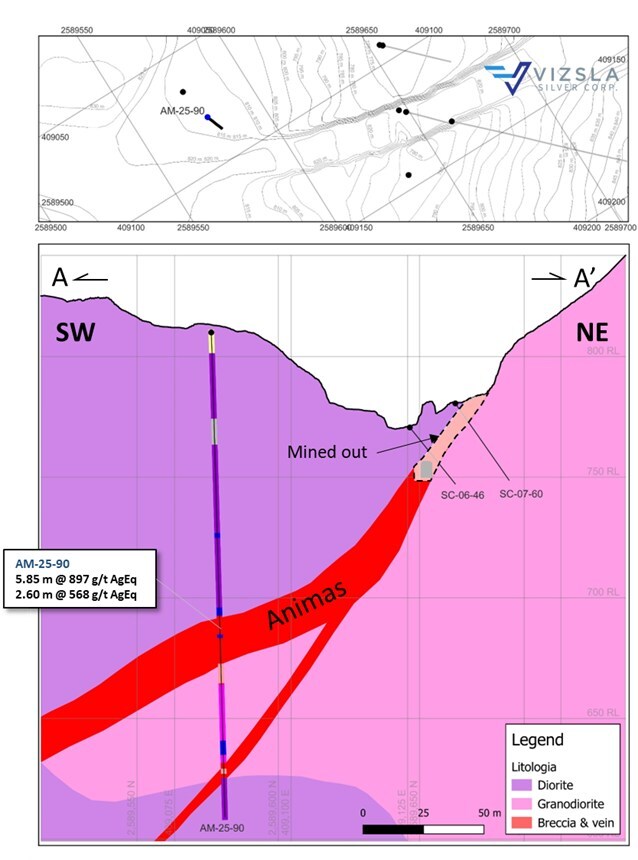 Figure 3: Cross section showing Animas structure flattening at depth and discovery hole AM-25-90. (CNW Group/Vizsla Silver Corp.) Figure 3: Cross section showing Animas structure flattening at depth and discovery hole AM-25-90. (CNW Group/Vizsla Silver Corp.)