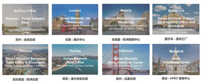 公司全球化佈局情況