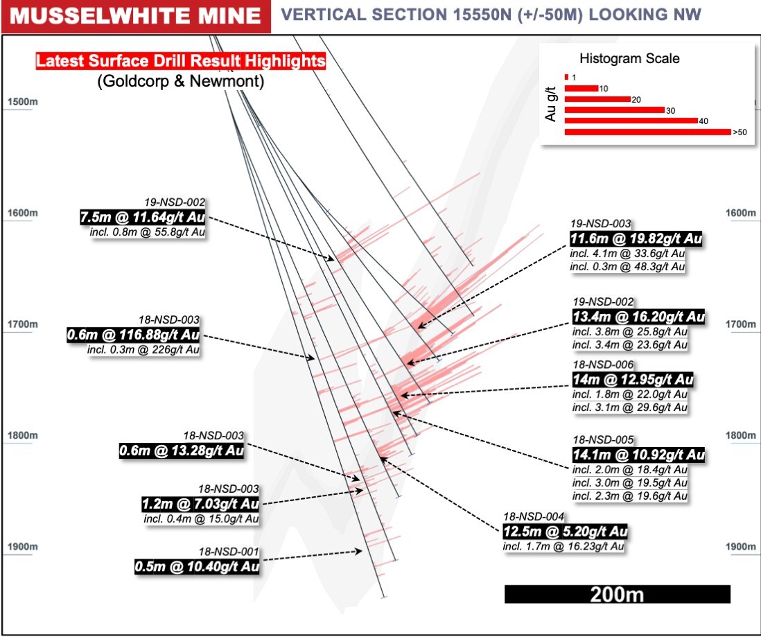 Figure 4: Musselwhite Cross Section Drill Intersection Highlights, 15550N (Ext. 3) (CNW Group/Orla Mining Ltd.) Figure 4: Musselwhite Cross Section Drill Intersection Highlights, 15550N (Ext. 3) (CNW Group/Orla Mining Ltd.)