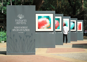 A Blooming Surprise: Colgate India's New Campaign Turns Discovery Into Realisation
