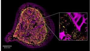 Kanvas Bio Publishes New Research on its Novel Spectral Imaging Platform, a Transformative Tool for Microbiome Drug Discovery and Development