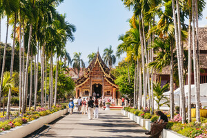 New GetYourGuide Survey Exposes the Truth About "The White Lotus" Travelers: They Want Local Flavor and Mischief, Not Just Five-Star Resorts