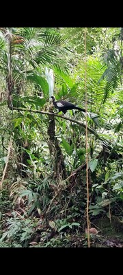 Unable to view the image, Please provide a valid URL.