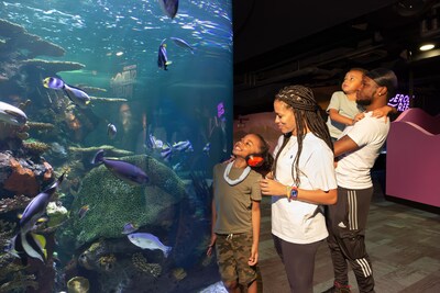 Visit Myrtle Beach continues its long-standing commitment to inclusivity and accessibility by expanding its sensory-friendly initiatives this year including a children's book, television series and the first AI-powered travel assistant created by a destination specifically for neurodiverse families. In addition, businesses throughout the Grand Strand, including Ripley's Aquarium of Myrtle Beach (pictured above), host sensory-friendly events throughout the year. Credit: Visit Myrtle Beach