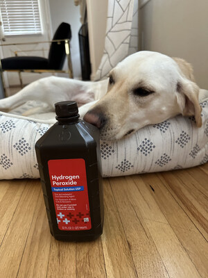 Toxicology experts recommend consulting a veterinary medical professional before giving dogs like Daisy hydrogen peroxide to induce vomiting.