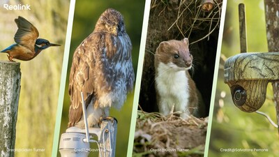 Capture Every Moment, Protect Every Creature.