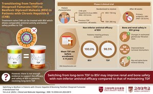 New Study by Korea University College of Medicine Researchers Reveals a Safer Alternative for Long-Term Hepatitis B Treatment