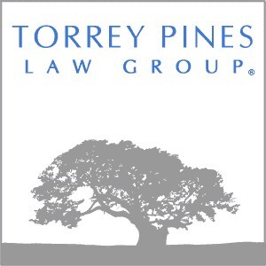 Torrey Pines Law Group Recognized as a Leading Intellectual Property Law Firm by Chambers USA California Spotlight Guide 2025