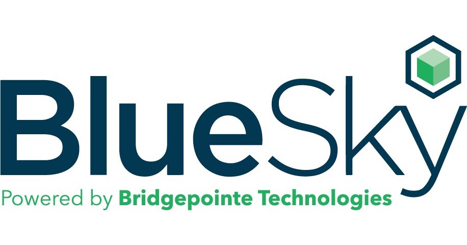 BlueSky IT Partners Helps C-Suites Close the AI Governance Gap with ...