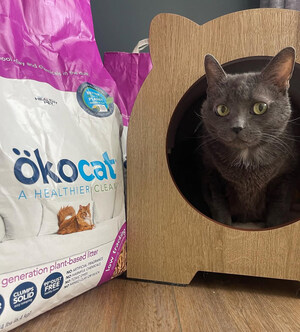 How to Make Your Pet Eco-Friendly