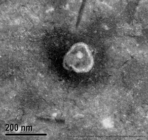 JuveXO® Unveils Verified Exosome Images, Setting a New Standard in Transparency and Scientific Proof in Cosmetics