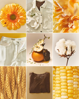 Anthropologie Continues Its Commitment to Regenerative Agriculture with Ongoing Partnership with Kiss the Ground