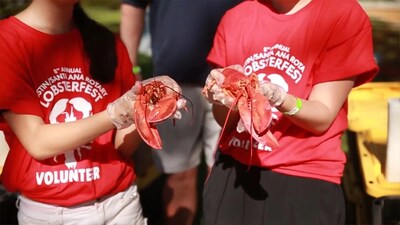Volunteers hold lobsters