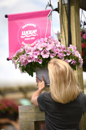 We're Tickled Pink! Wave® Celebrates 30 Years with the First-Ever National Wave Day