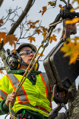 Equip Exposition Announces Tree Care Arena, Live Demonstrations