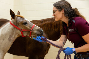 Synchrony's CareCredit Offered at 100% of Public Veterinary University Hospitals Nationwide, Expanding Access to Pet Care