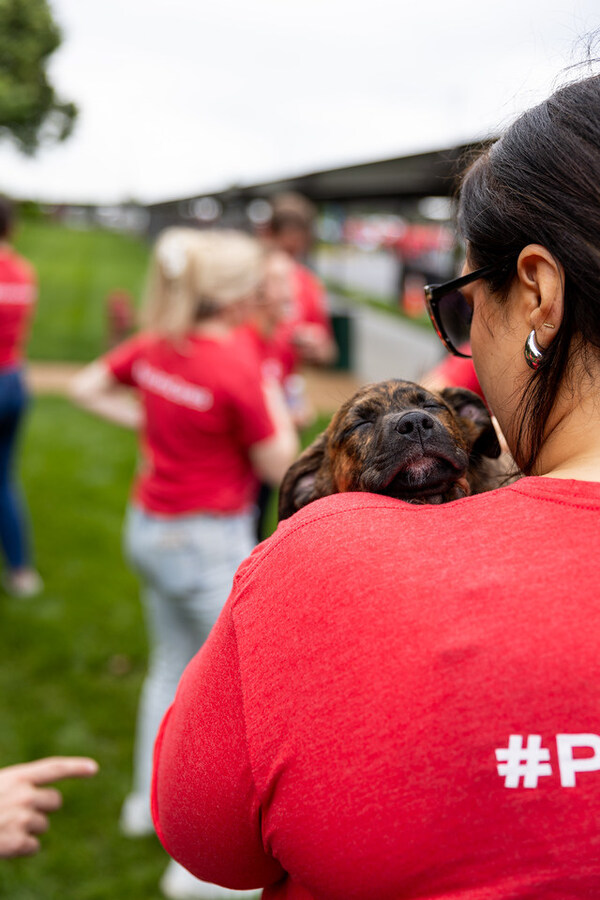 Purina announced today that its total charitable donations in 2024 exceeded $37 million, including $22.9 million in monetary grants and sponsorships and $14.2 million in in-kind contributions of Purina pet food and Tidy Cats litter.