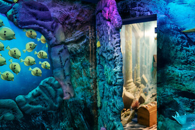 Lost City Escapes at The Coral, Atlantis Paradise Island