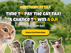 HitPaw Launches 2025 Global Cat Tax Campaign with Top Prizes