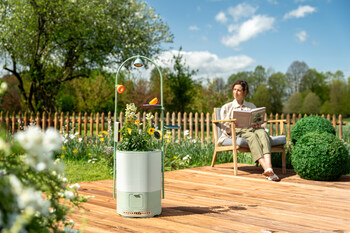 Wonder Blocks and Petals