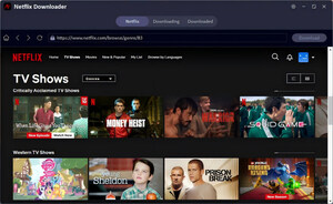 How to Download Netflix to MP4 with New Released FliFlik UltConv