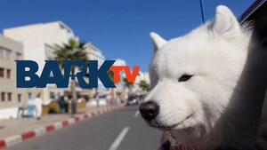 Bark TV FAST Channel Launches on Xumo Play