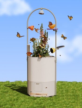 Wonder Blocks and Petal: The Smart Observatory"