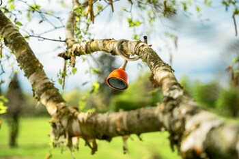 "Petal Smart Camera"