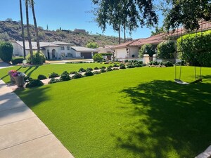 Artificial Grass Creates Desert Paradise for Phoenix Homeowner
