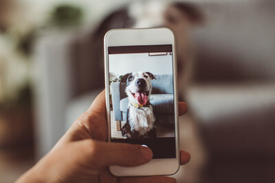 Unable to view the image, Please provide a valid URL.