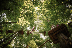Go Ape USA Launches Primal Dynamix: Revolutionizing Leadership and Team Building for a Future-Ready Workforce