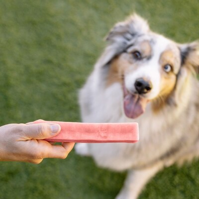 Downtown Barkery Strawberry Yak