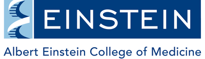 Albert Einstein College of Medicine Logo. (PRNewsFoto/Albert Einstein College of Medicine) Albert Einstein College of Medicine Logo. (PRNewsFoto/Albert Einstein College of Medicine)