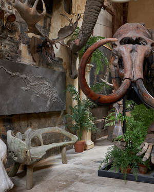 Fossils, Mammoths, and Prehistoric Marvels Up for Auction in the U.K. on May 13: Open to U.S. Bidders