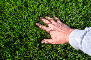 Spring Soil Crisis? Dr. Green Services Launches Game-Changing Liquid Aeration Across North Texas