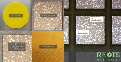 ROOTS, a company with proprietary Phosphor in Glass (PiG) technology ROOTS, a company with proprietary Phosphor in Glass (PiG) technology