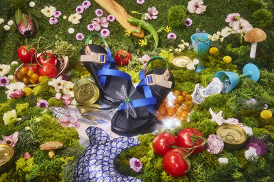 Unable to view the image, Please provide a valid URL.