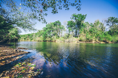 forest carbon credits verified through NativState's ACR 801 project