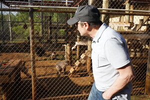Captive Primate Safety Act Reintroduced, Congressman Visits Born Free USA Primate Sanctuary