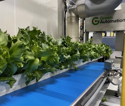 Fully automated harvesting
