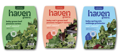 Three fresh varieties sold by Haven Greens