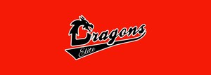 Dragons Elite Athletics Launches Elite Baseball Training Programs in South Florida