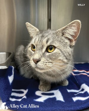 Alley Cat Allies Reaches 5000 Cat Milestone in Atlantic County, NJ Trap-Neuter-Return and No-Cost Cat Food Collaboration