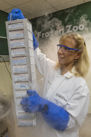 San Diego Zoo Wildlife Alliance's Frozen Zoo® at 50: A Blueprint for Global Conservation
