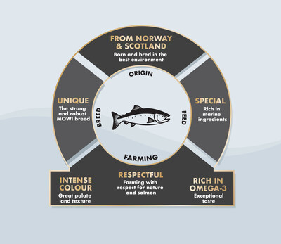MOWI Infographic
