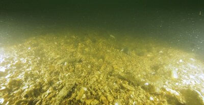 緊急呼籲加強海洋保護： 大自然保護協會促請政府加強保護措施及修復香港瀕危的蠔礁， 並納入即將更新的生物多樣性政策